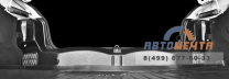 Внутренняя облицовка задних фонарей (АБС 2 шт) Рено Логан с 2014-2